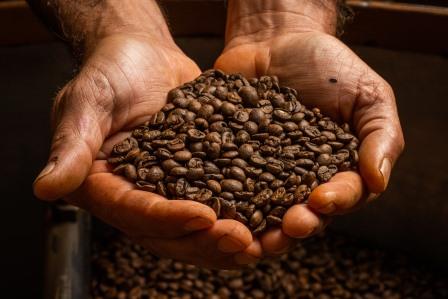 Nucoffee apresenta inovações para o mercado de cafés especiais