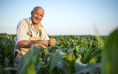 28 de julho, Dia do Agricultor