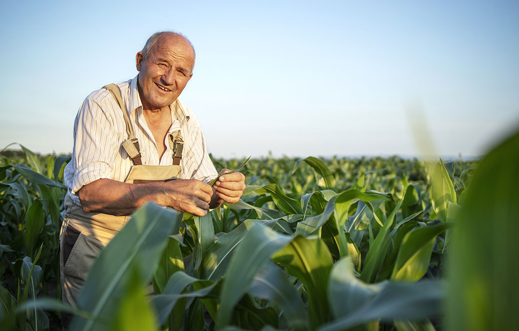 28 de julho, Dia do Agricultor