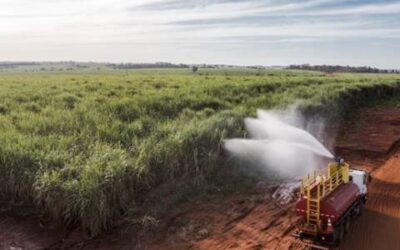 BP Bunge Bioenergia reduz 50% dos incêndios