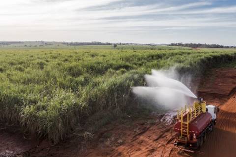 BP Bunge Bioenergia reduz 50% dos incêndios