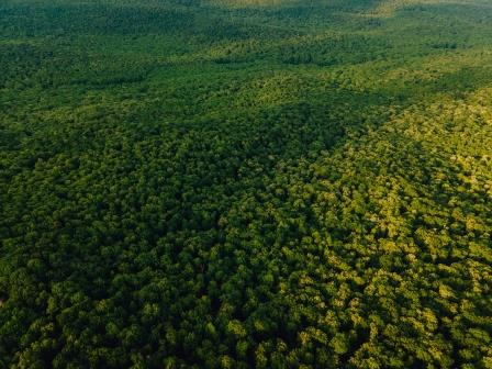 Brasil é 6º país com mais empresas que divulgam dados ambientais