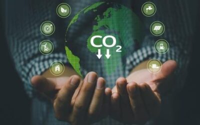 Tecnologia brasileira guia empresas na jornada de redução de carbono