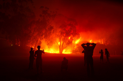 Incêndios no Pantanal e no Cerrado