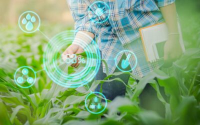 Como a agricultura digital pode contribuir com a produtividade?