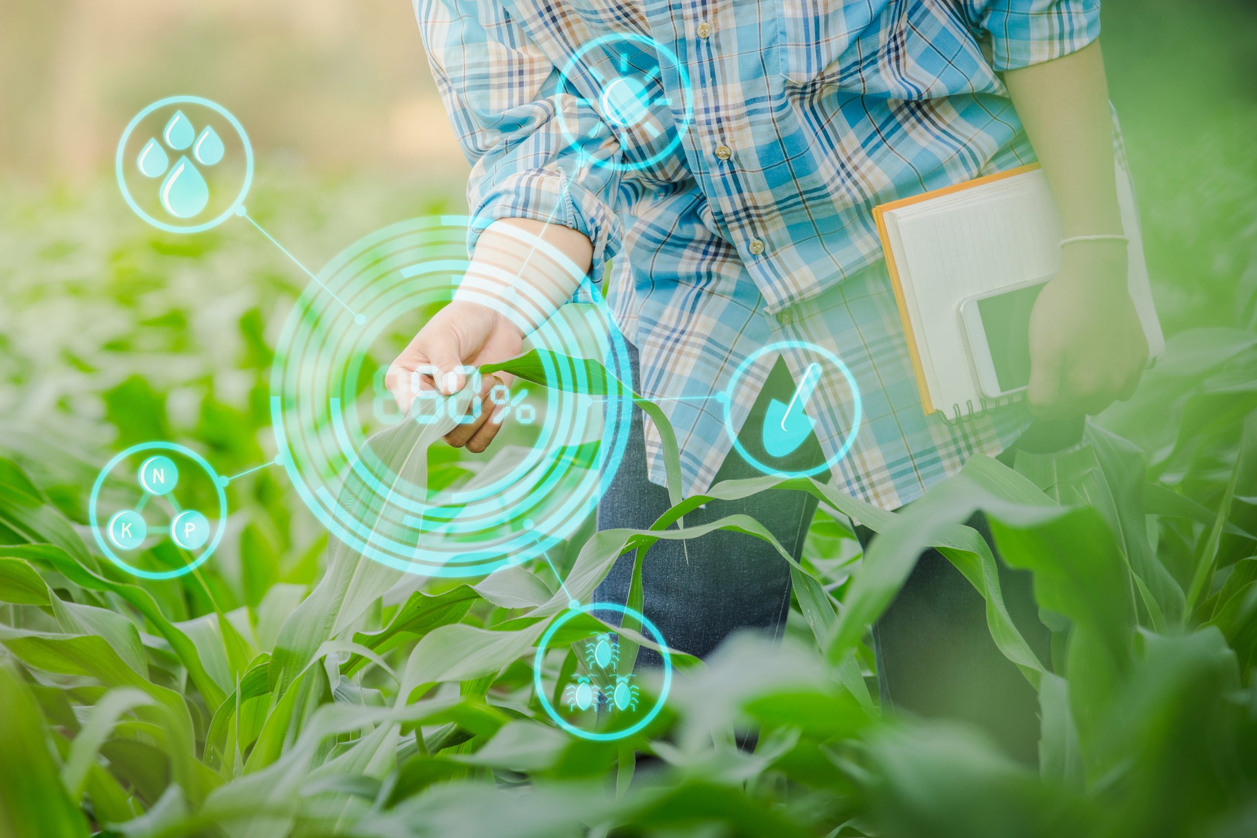 Como a agricultura digital pode contribuir com a produtividade?