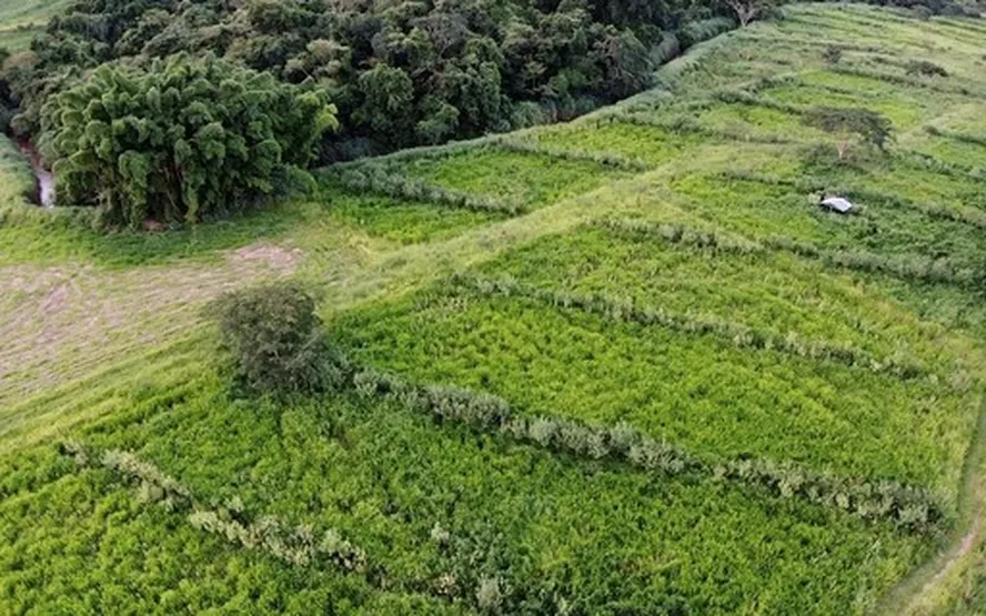 Bayer investe R$ 9,9 milhões em pesquisa