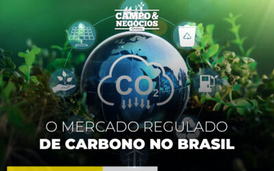 O mercado regulado de carbono no Brasil