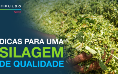 Bayer promove encontro sobre silagem com produtores rurais