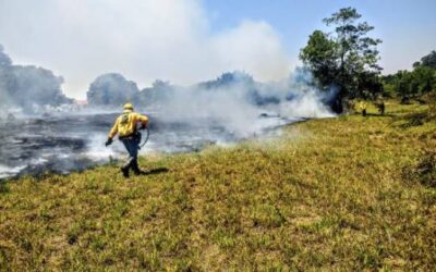 IAB alerta sobre crise climática