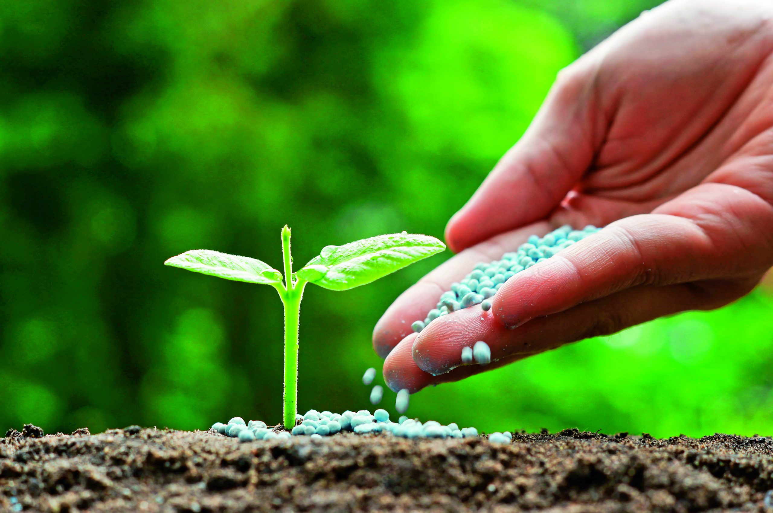 Qual o diferencial da nutrição inteligente?