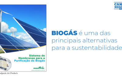Biogás é uma das principais alternativas para a sustentabilidade