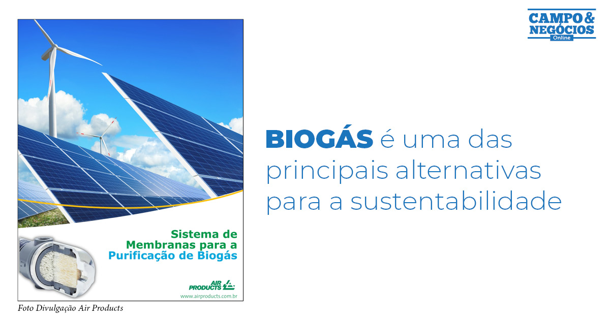 Biogás é uma das principais alternativas para a sustentabilidade