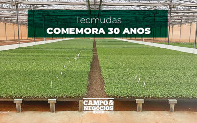 Tecmudas comemora 30 anos