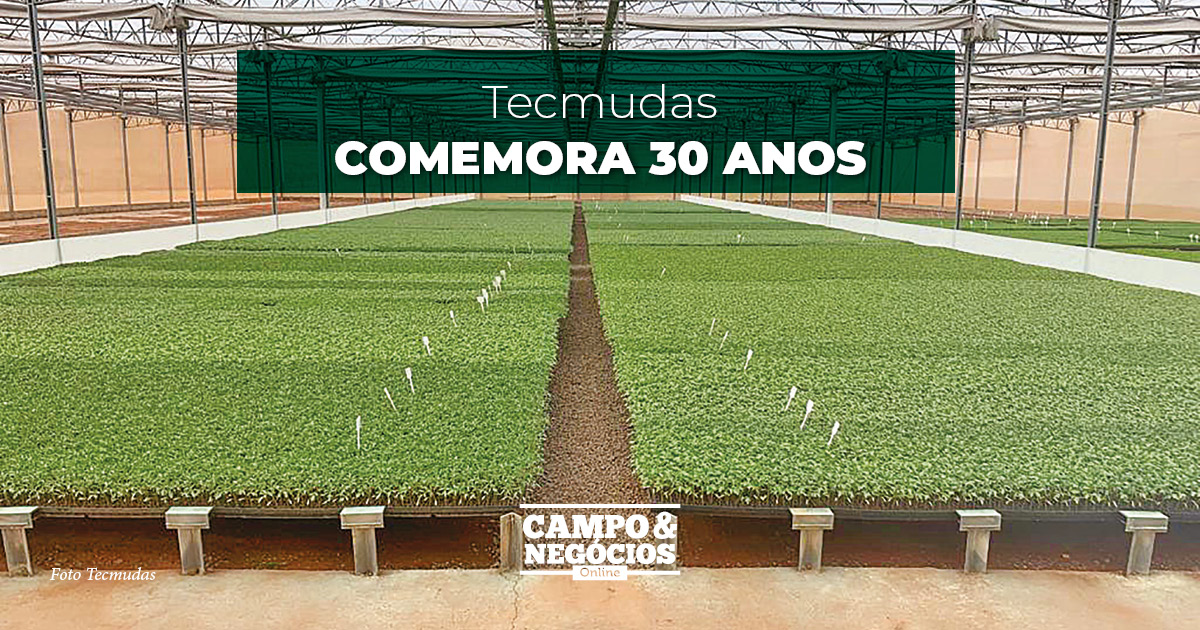 Tecmudas comemora 30 anos