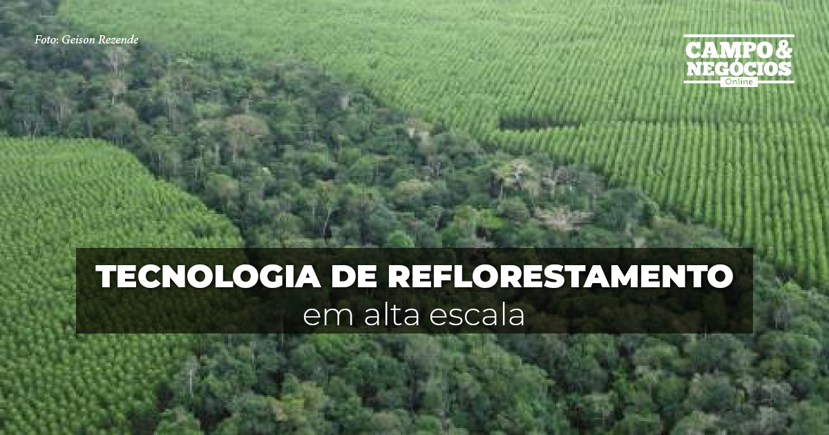 Tecnologia de reflorestamento em alta escala