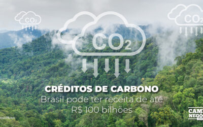 Créditos de carbono: Brasil pode ter receita de até R$ 100 bilhões