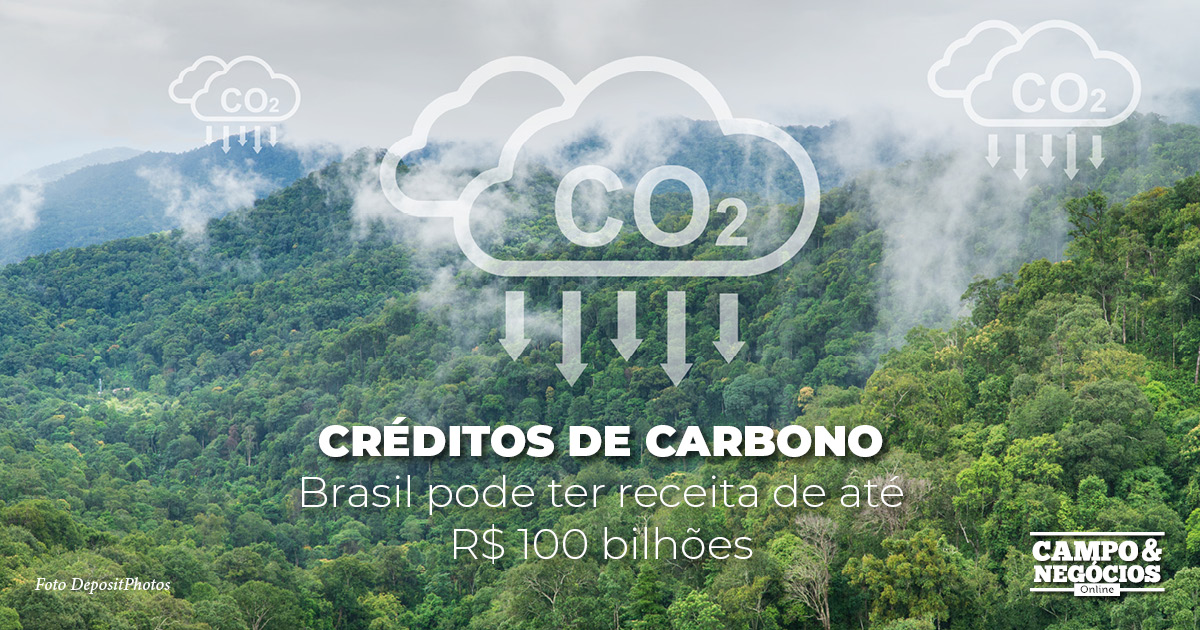 Créditos de carbono: Brasil pode ter receita de até R$ 100 bilhões