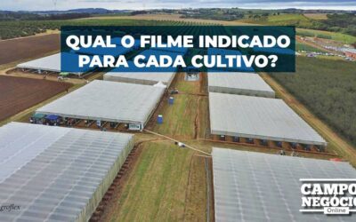 Qual o filme indicado para cada cultivo?