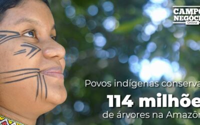 Povos indígenas conservam 114 milhões de árvores na Amazônia