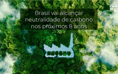 Brasil pode liderar economia de baixo carbono da Amazônia para o mundo