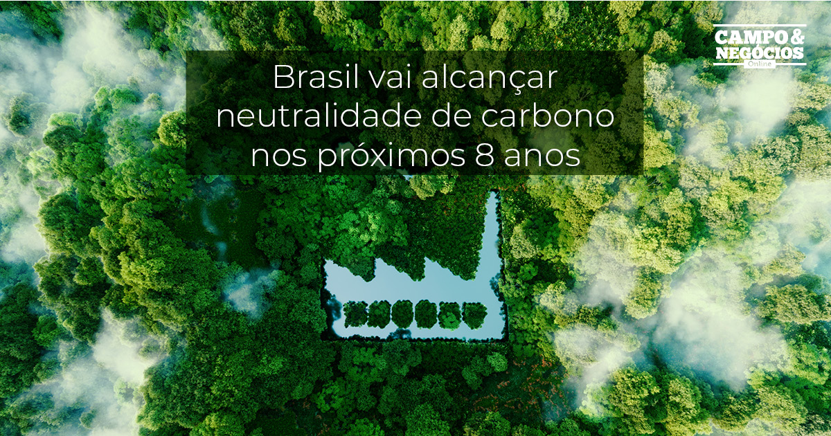 Brasil pode liderar economia de baixo carbono da Amazônia para o mundo