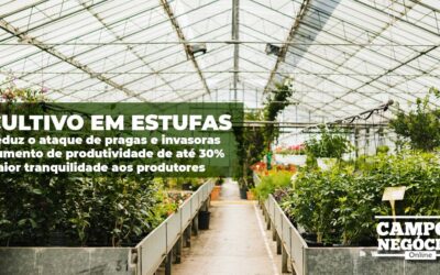 Produção garantida e protegida durante os 365 dias