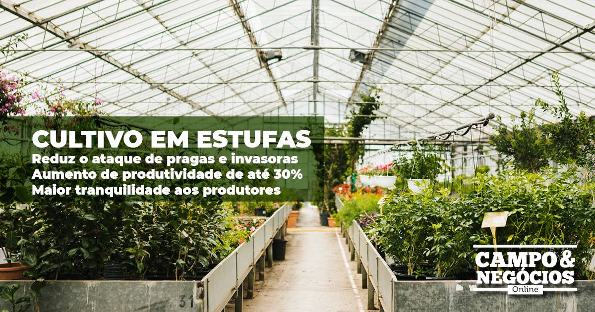 Produção garantida e protegida durante os 365 dias