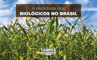 A realidade dos biológicos no Brasil