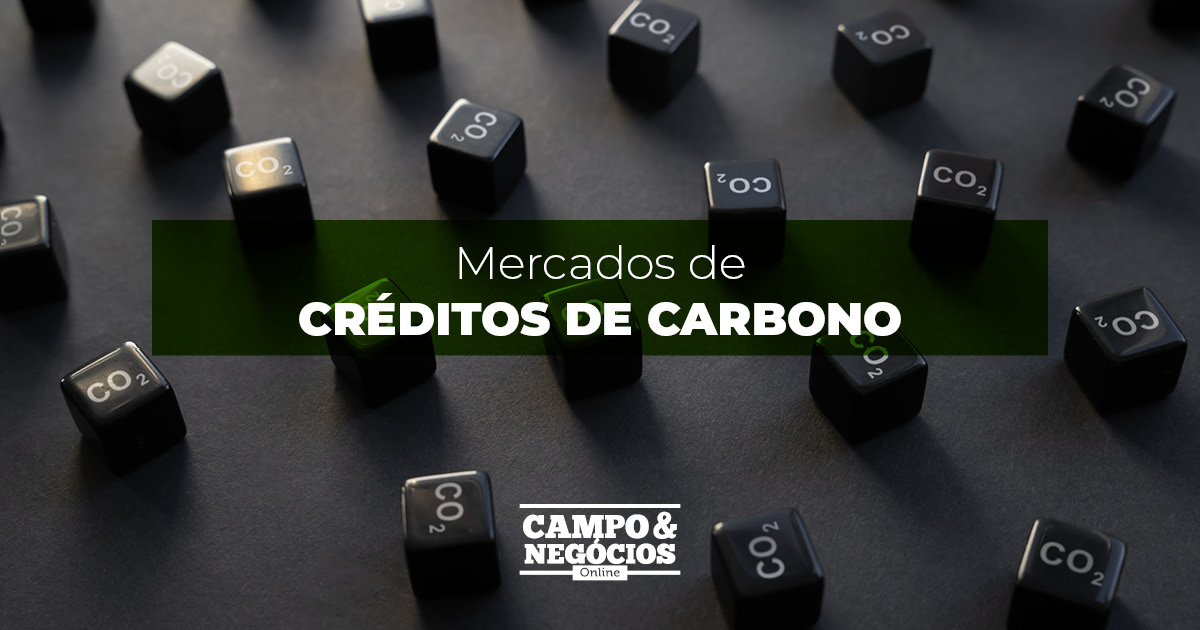 Mercados de créditos de carbono