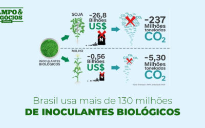 Brasil usa mais de 130 milhões de inoculantes biológicos