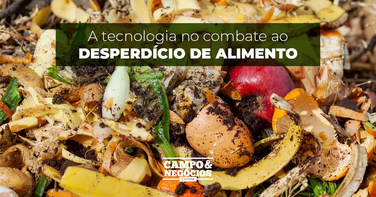 A tecnologia no combate ao desperdício de alimento