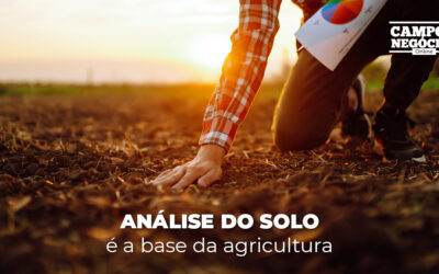 Análise do solo é a base da agricultura