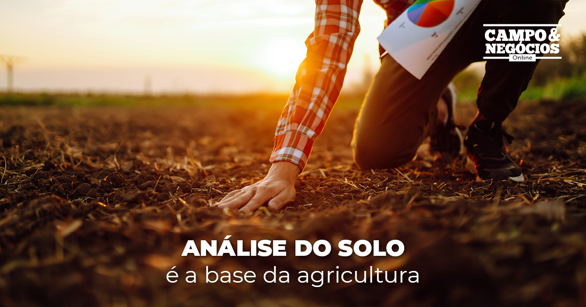 Análise do solo é a base da agricultura