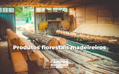 Produtos florestais madeireiros