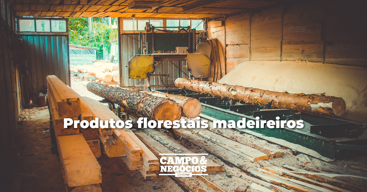 Produtos florestais madeireiros