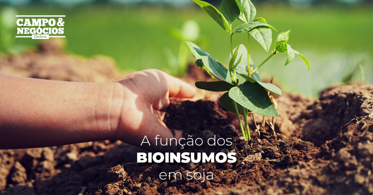 Bioinsumos em soja: qual a sua função?