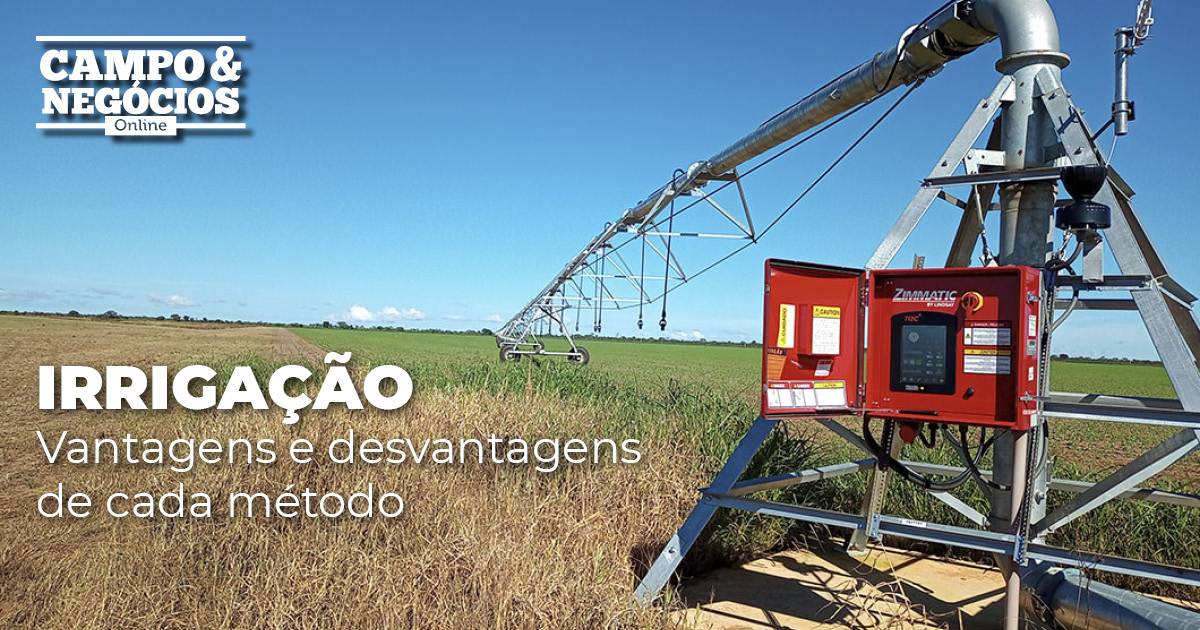 Irrigação potencializa produção no campo