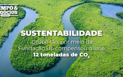 Compensação de emissão de carbono