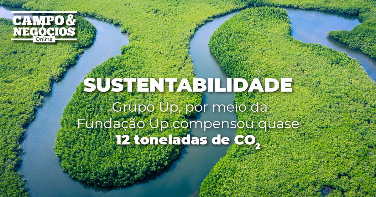 Compensação de emissão de carbono