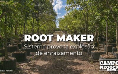 Sistema Root Maker