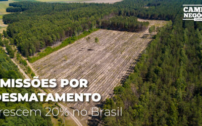 Emissões por desmatamento crescem 20% no Brasil