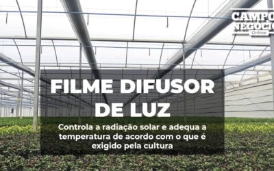 Filme difusor de luz