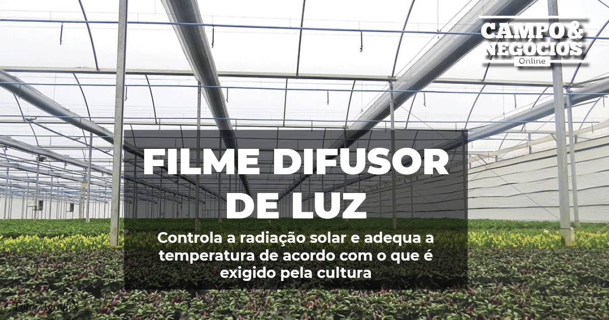 Filme difusor de luz