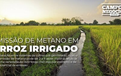 Estudo quantifica emissão de metano em arroz irrigado