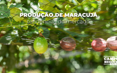 Produção de maracujá: tendências de mercado