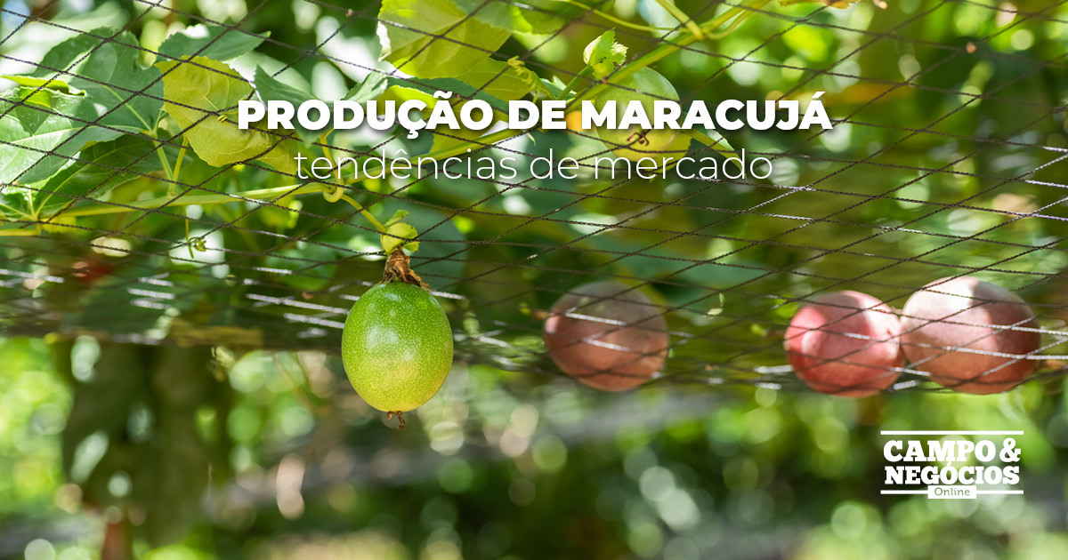 Produção de maracujá: tendências de mercado