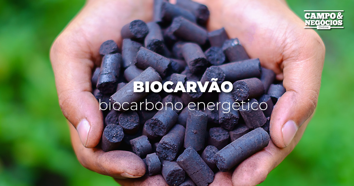 Biocarvão: biocarbono energético