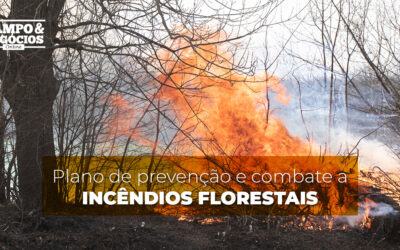 Plano de prevenção e combate a incêndios florestais