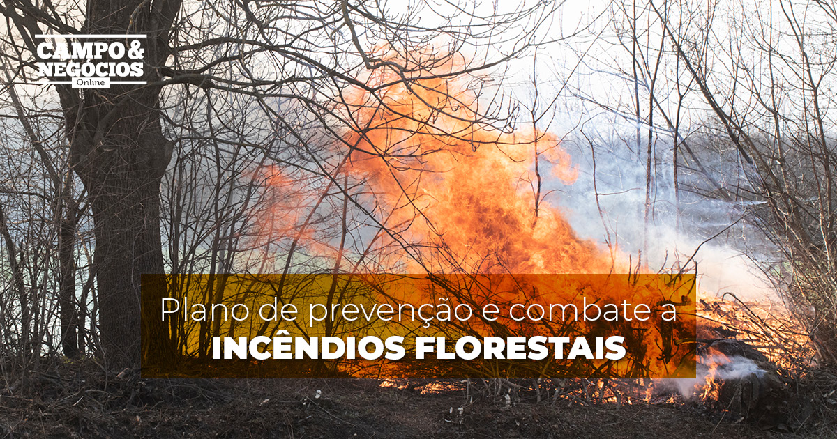 Plano de prevenção e combate a incêndios florestais